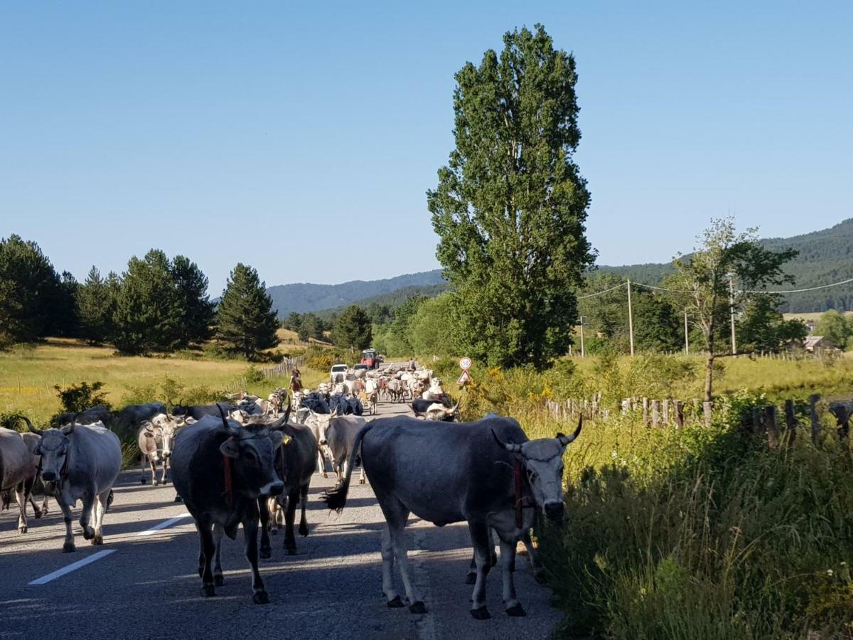 Lorica Suite Lago Eksteriør billede